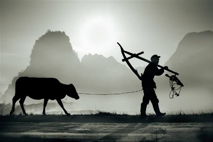 Java编程思想-简要读书笔记